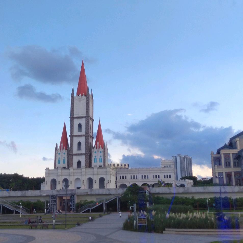 沧桑大婶