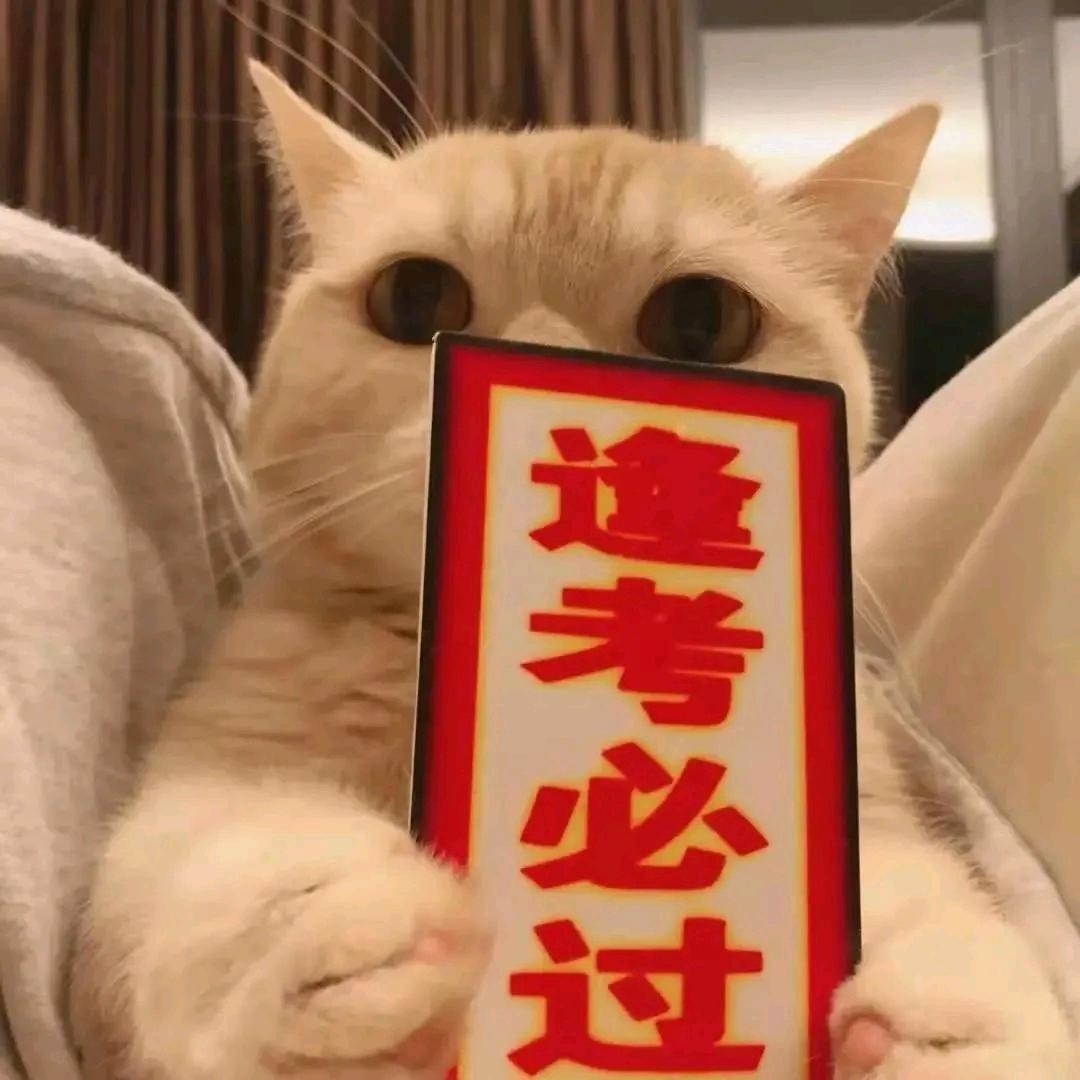 半边月亮（中职升学）