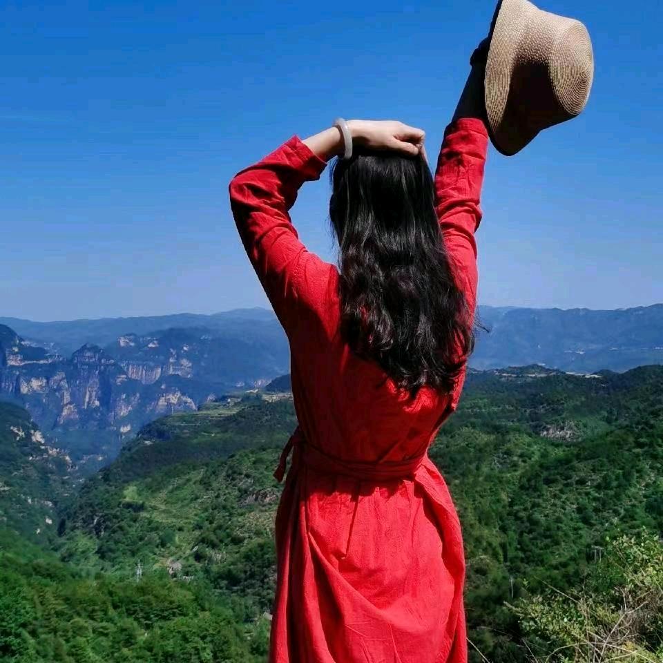 贾如