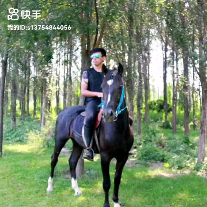 东盛马会俱乐部