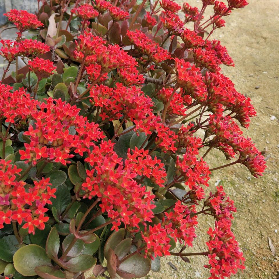 最好的礼物是陪伴