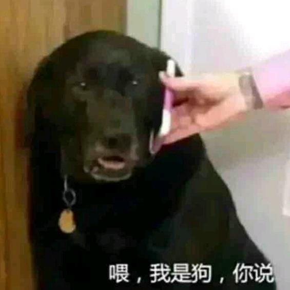 真的那么喜欢我吗