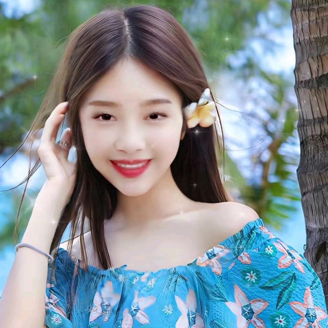 🍒名菊🍒