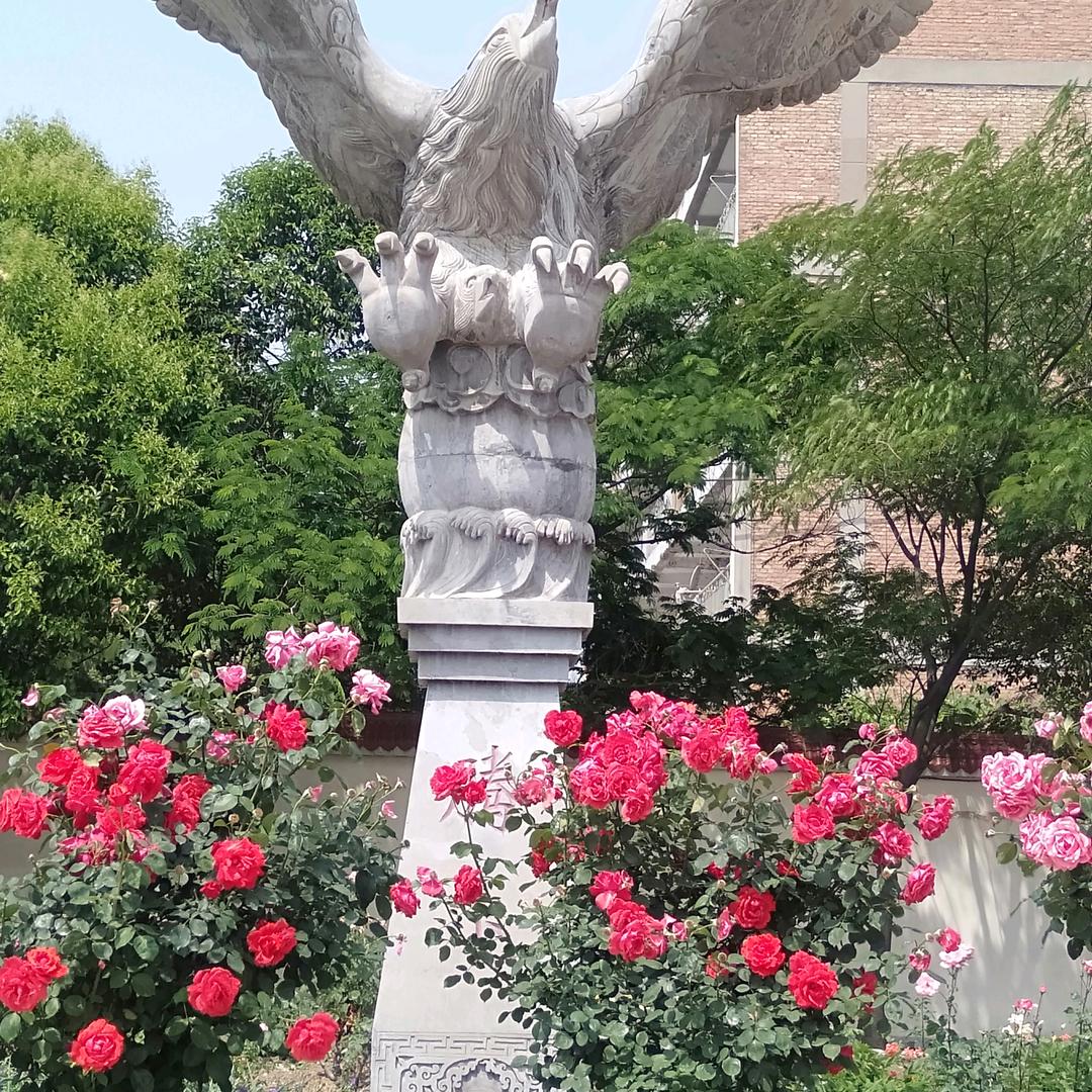 烈酒