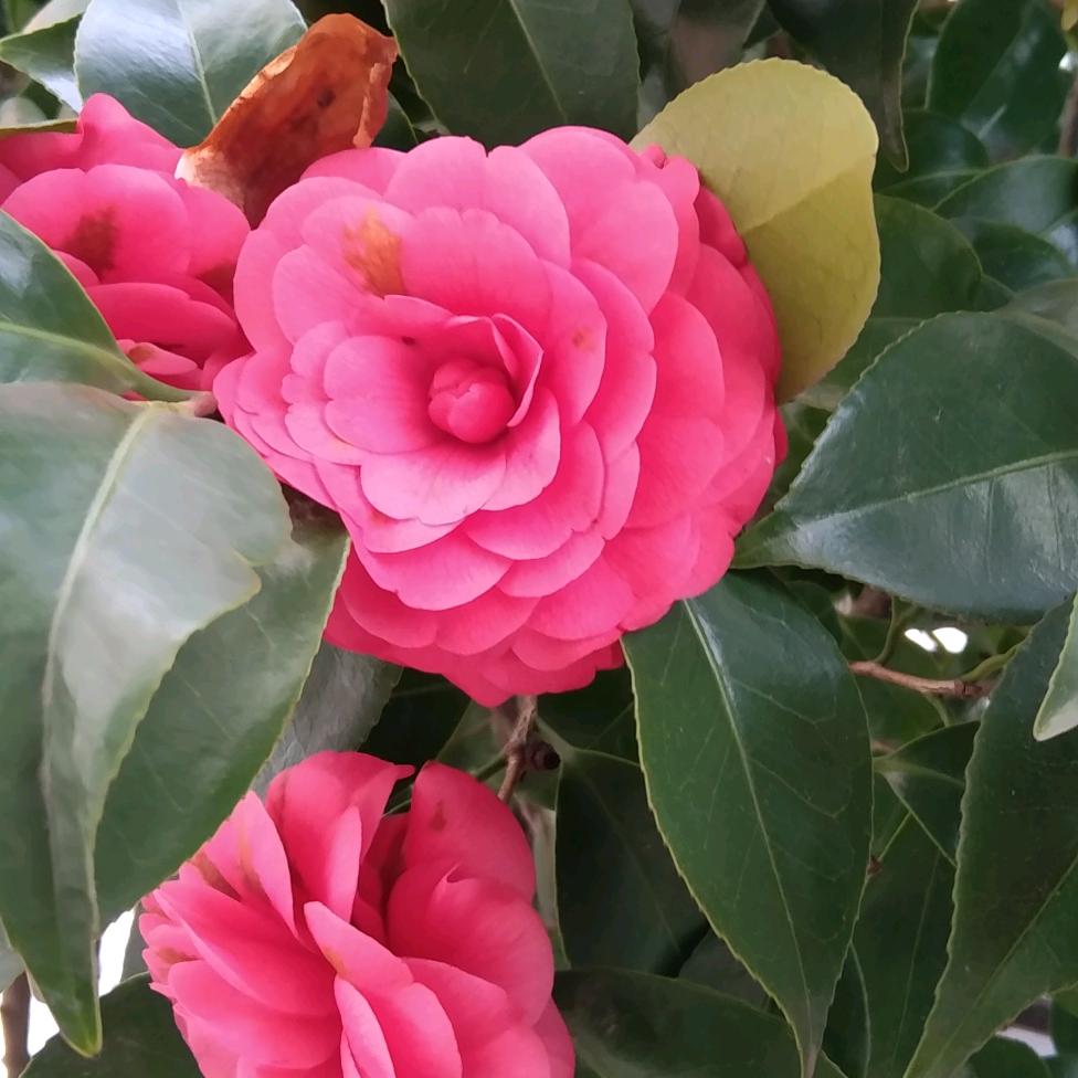 田师傅专业敲墙，拆徐，钻孔，