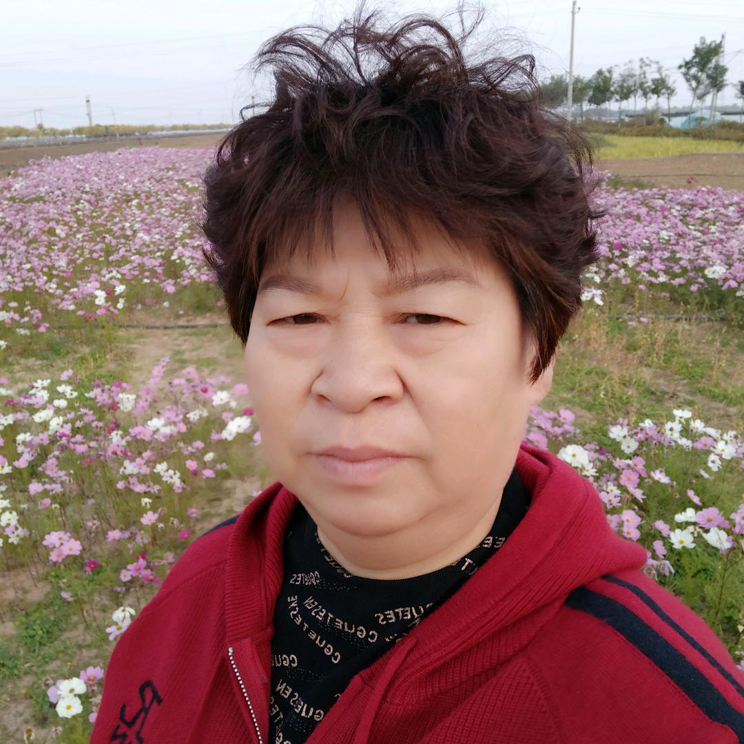 百合花