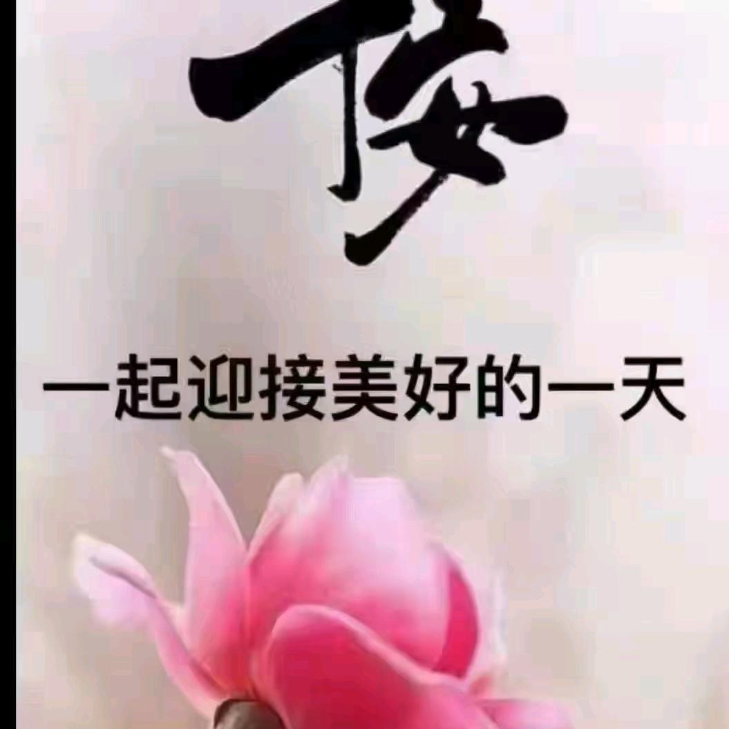 再见了只是陌生人