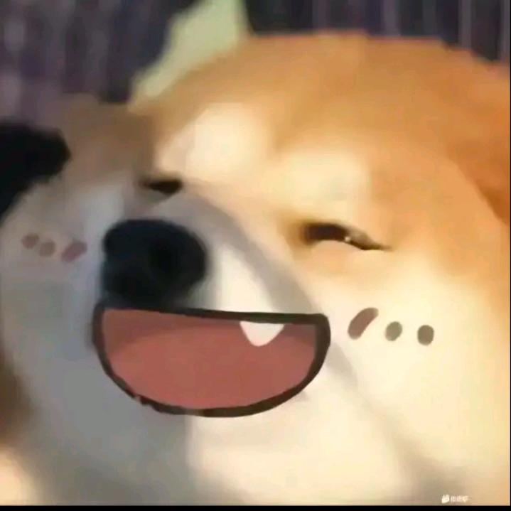 于俊鸿