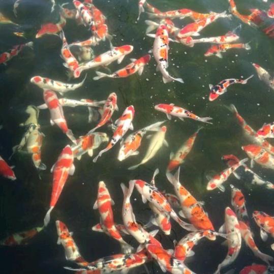 紫气～东来