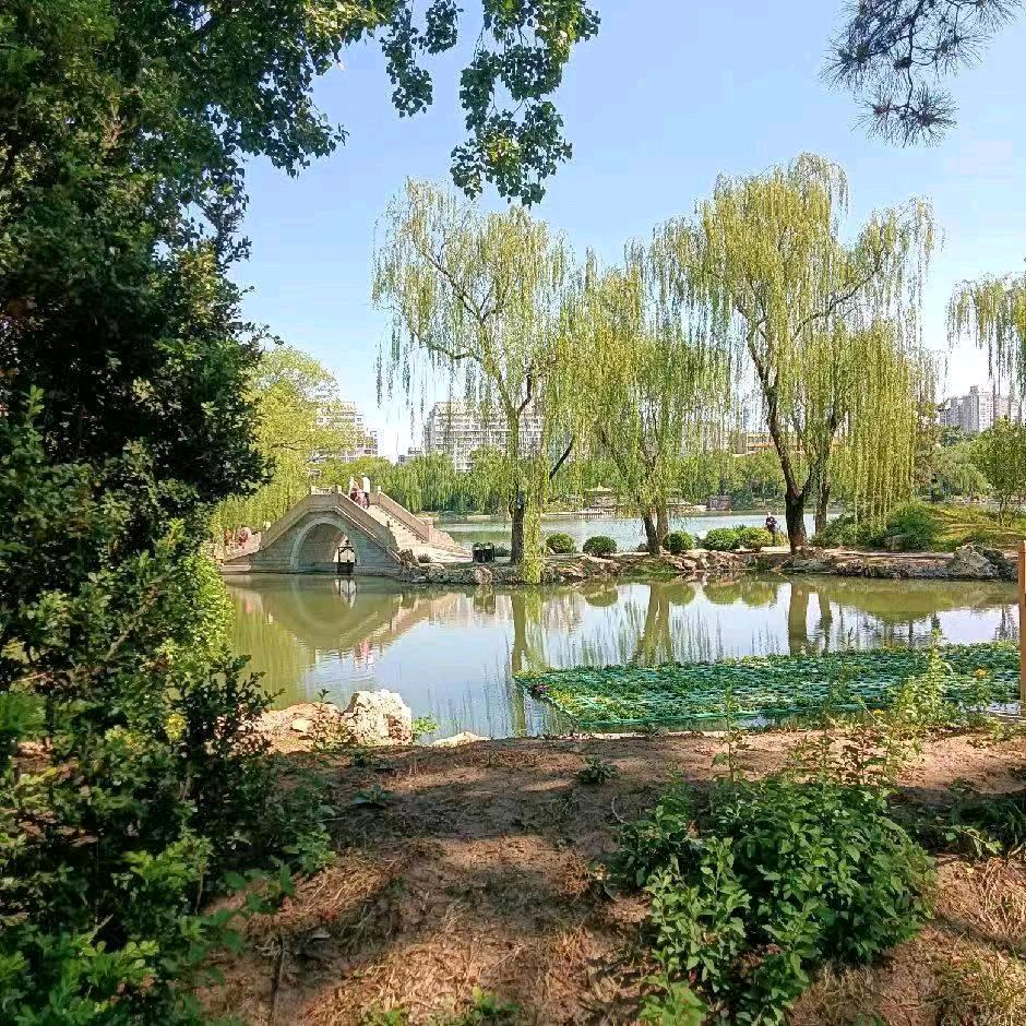 往事不回头，往后不将就