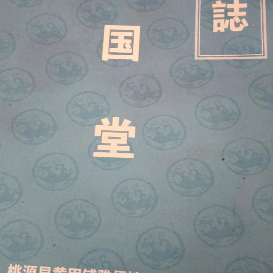武陵奇侠