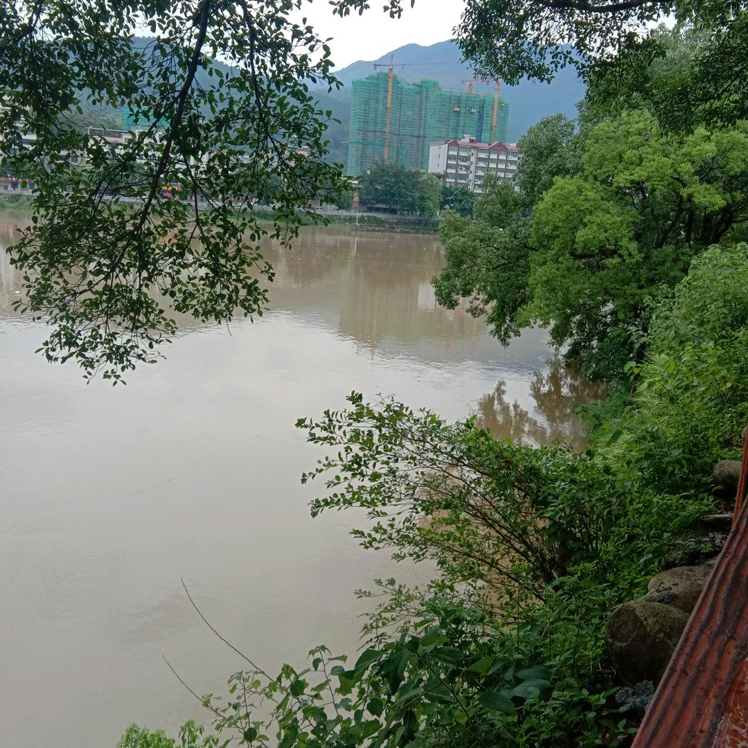 Mm如风头像