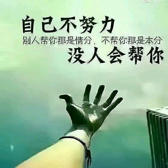 拼了一年又一年。