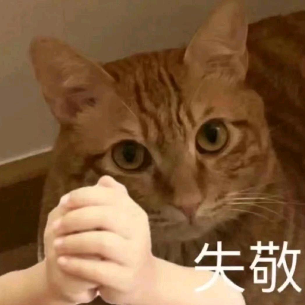 荣归故里