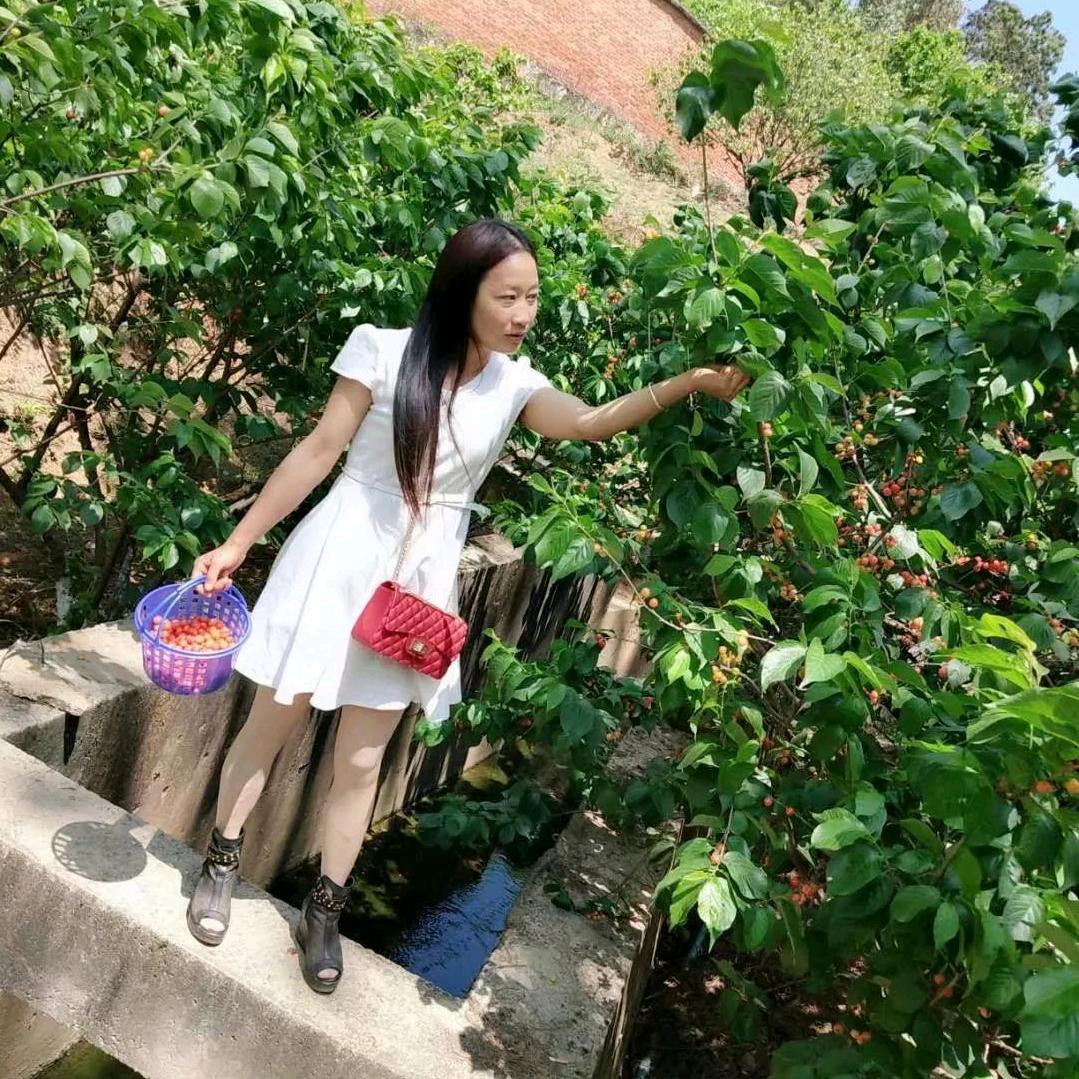那份失落的感动