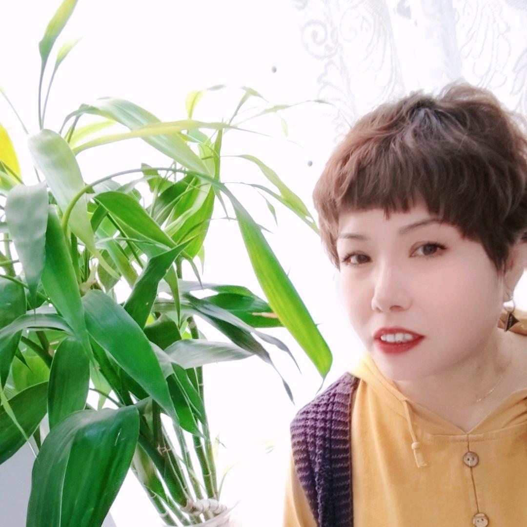茉莉清香