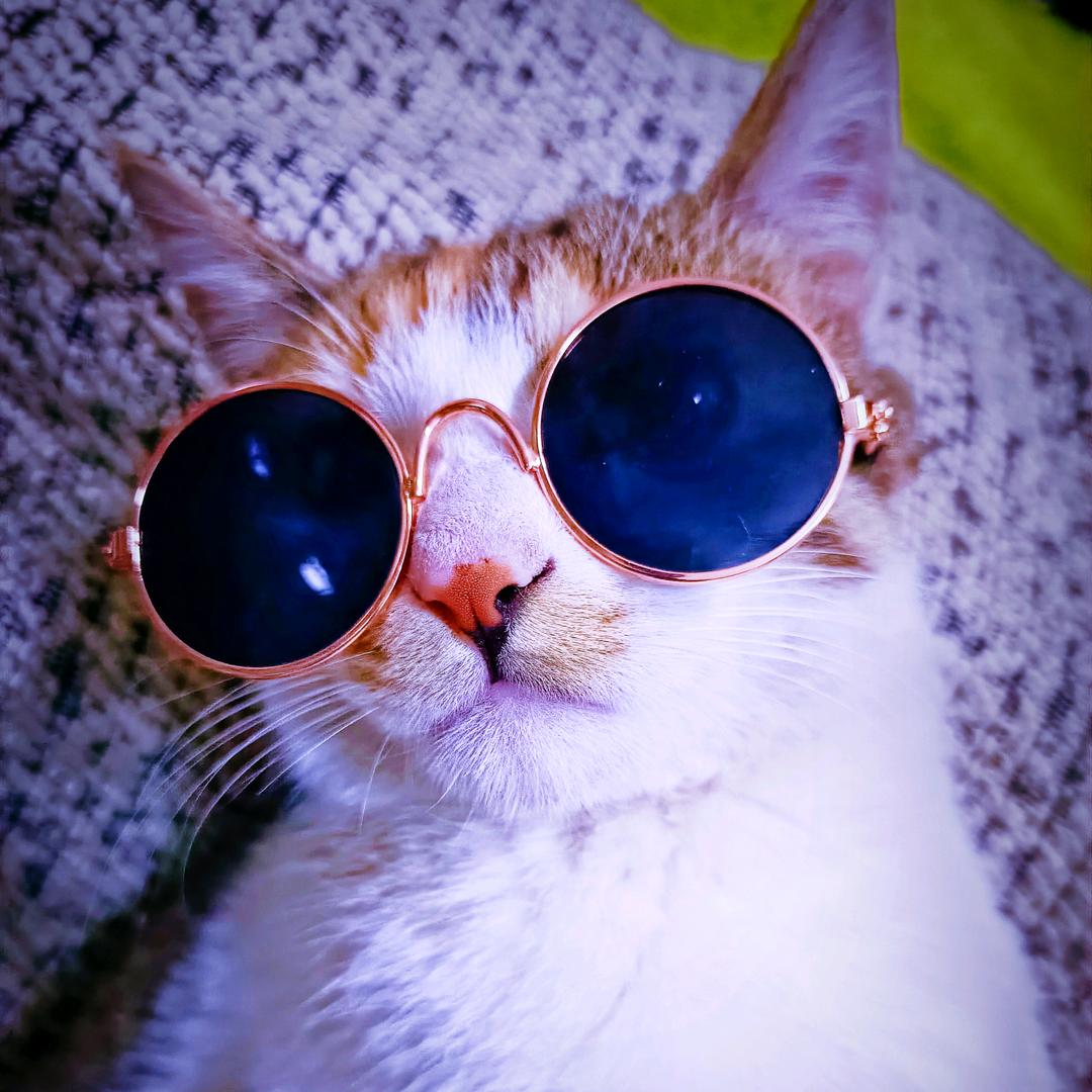 ～左子