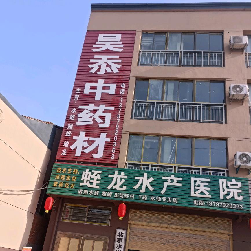 金蛭