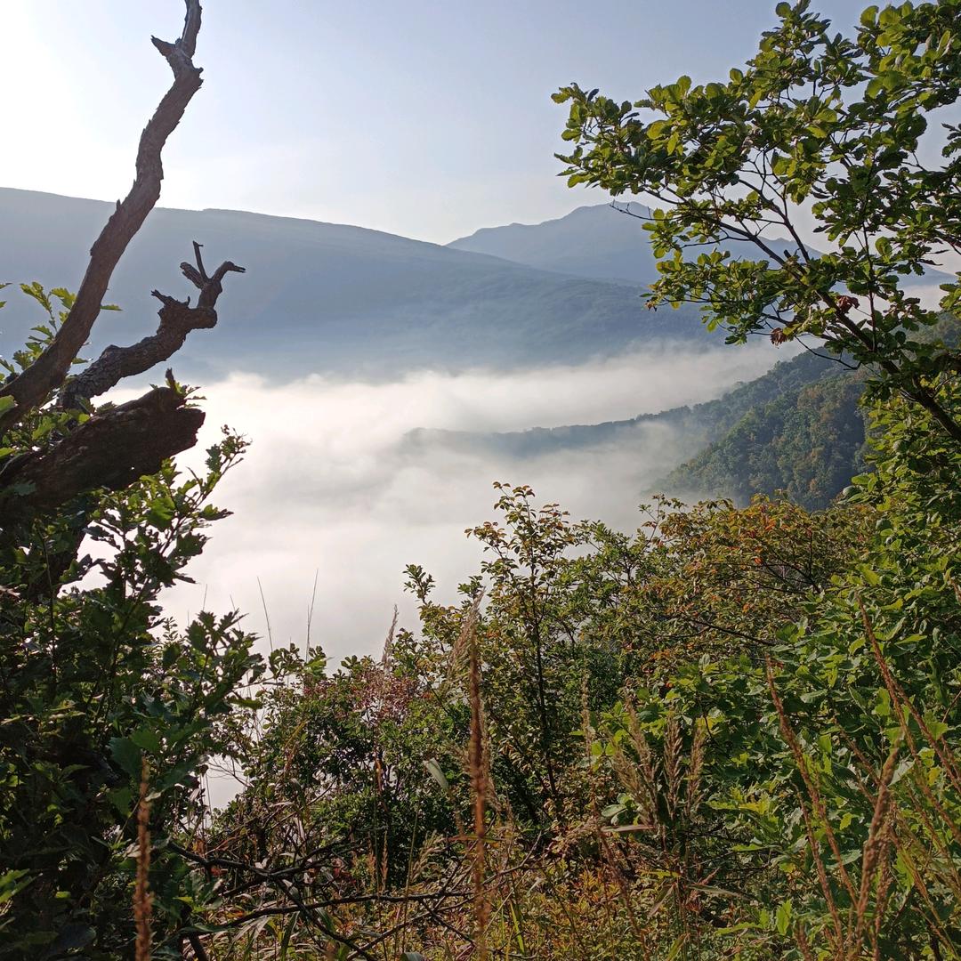 大山行者