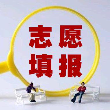 河北高考生涯规划