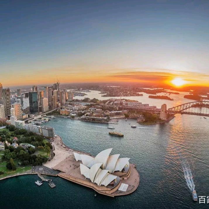 澳洲482（sid）剔骨工