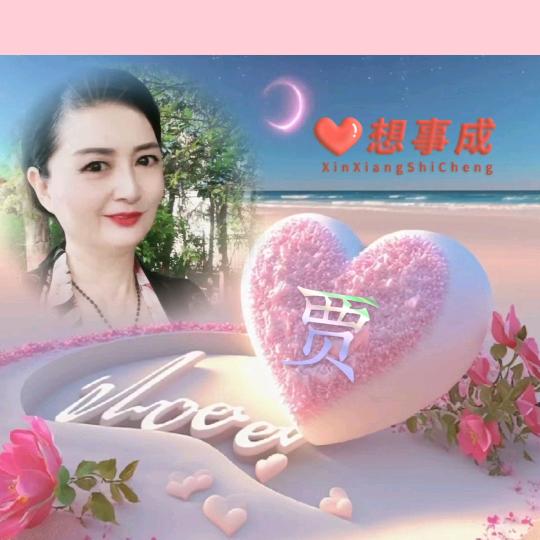 🌺贾姐🌺(63年🐰)