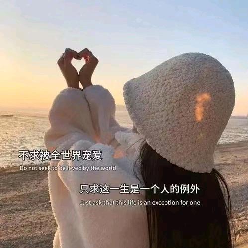 傲娇小野猫