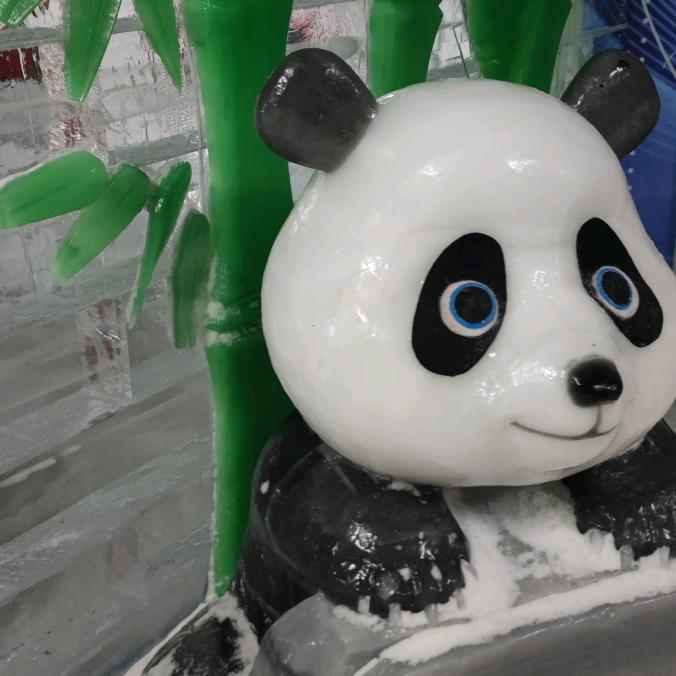 熊猫（橱窗有好物）