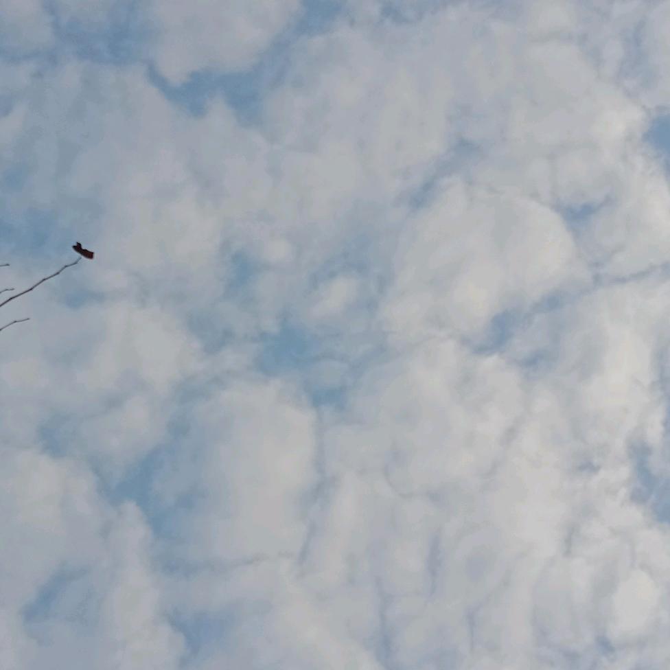 发财被爱好运常在