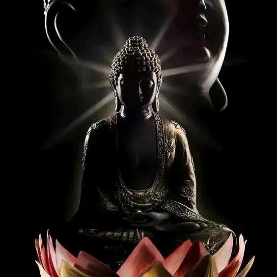 要么忍，要么狠。