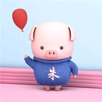 小猪zhu