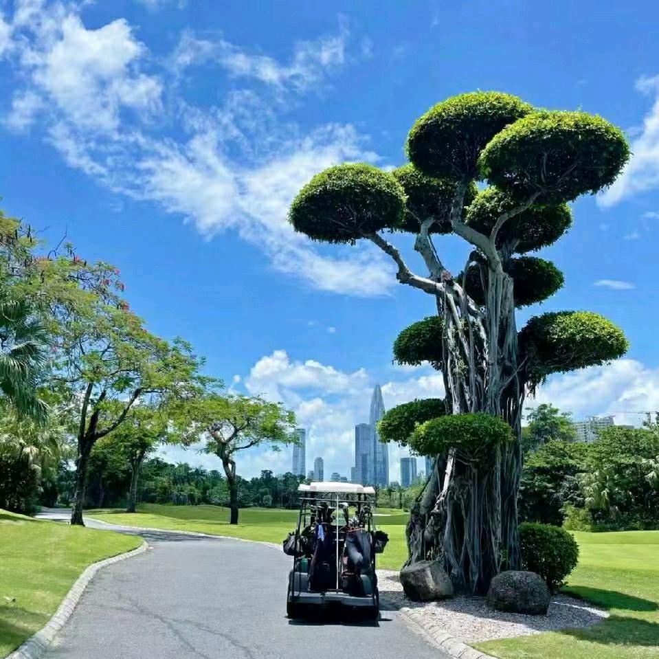 风水轮流转
