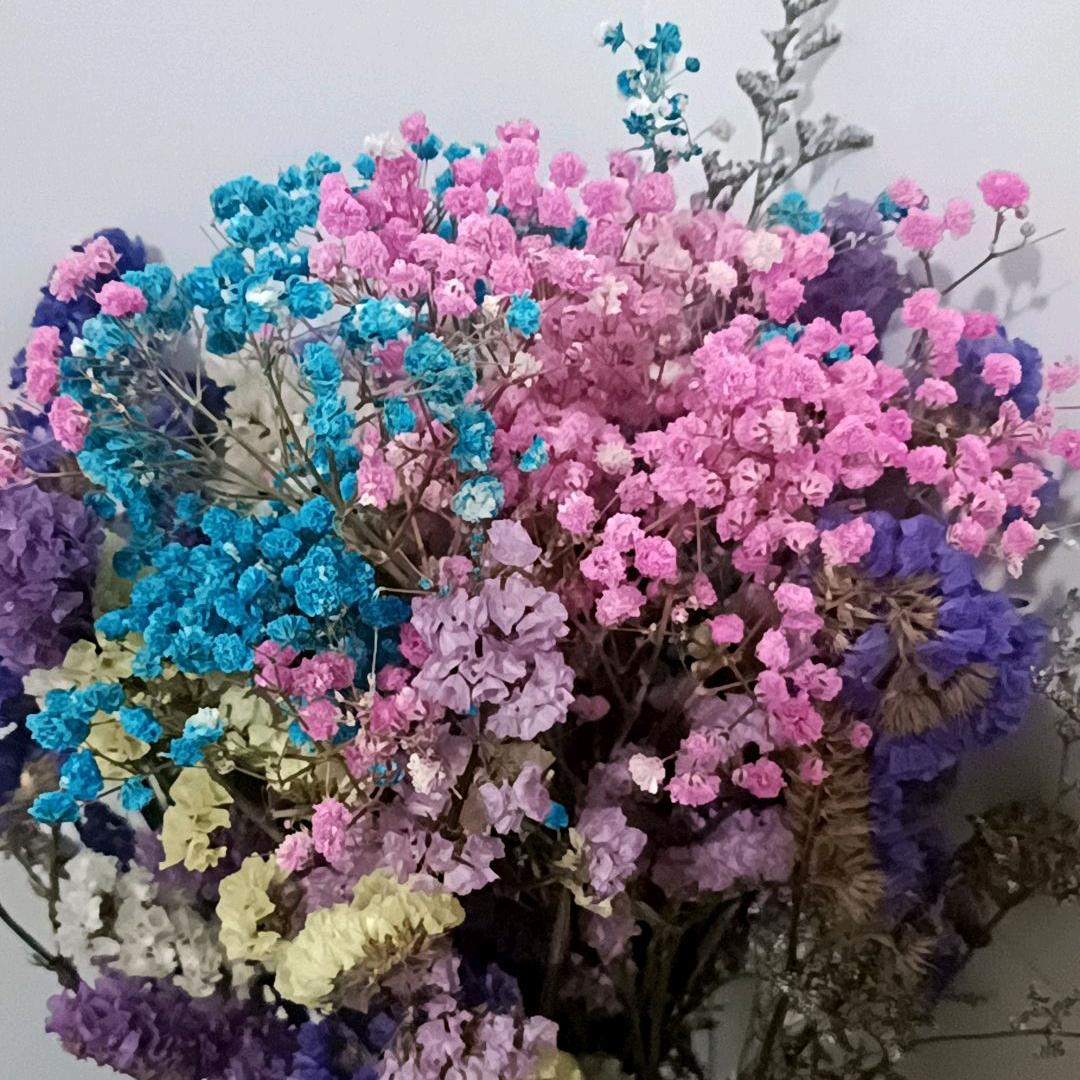 伤心的城市 我又忘了