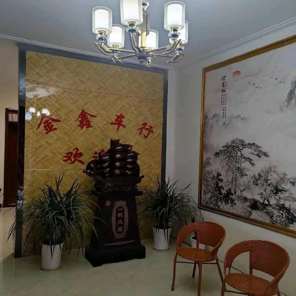 金鑫二手车小吴
