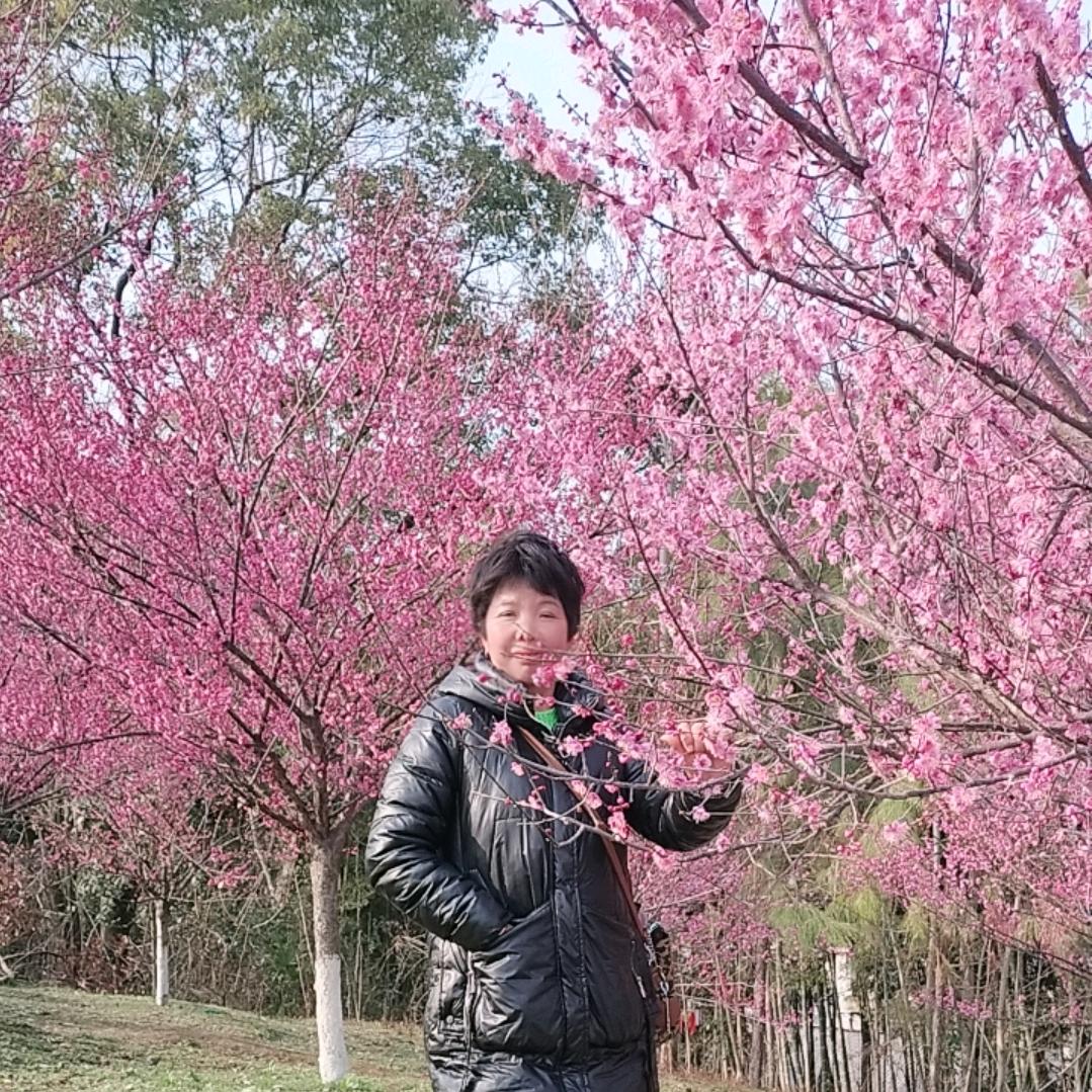 张红霞