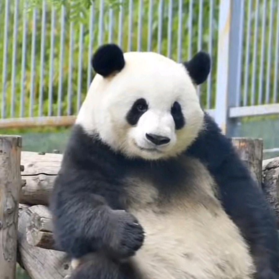 正正正