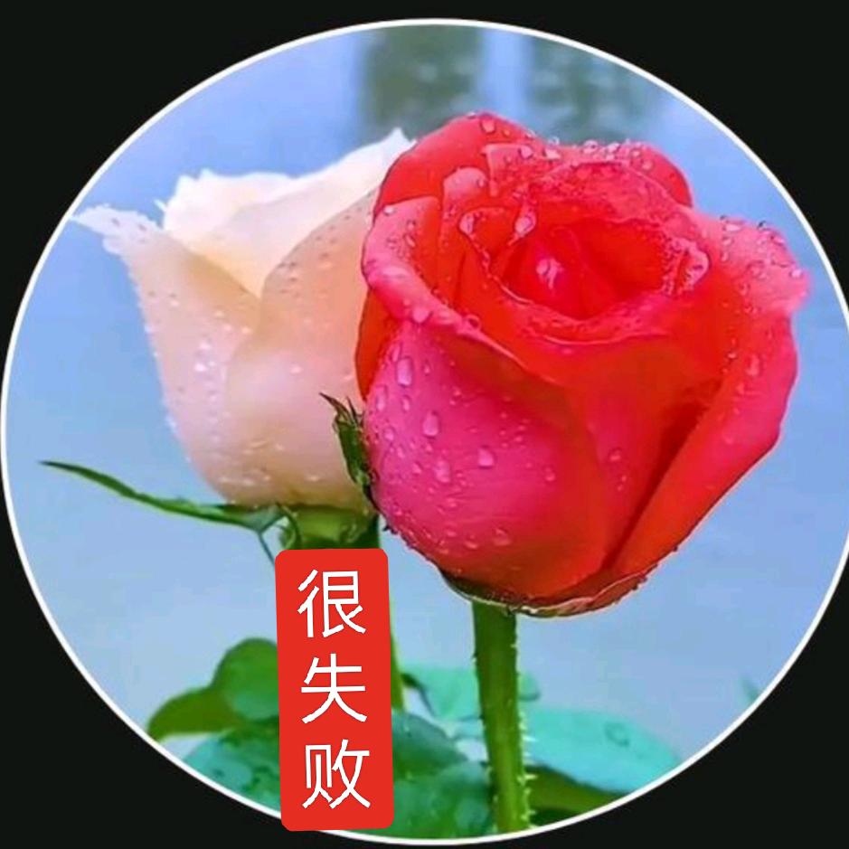 缘分惹的祸