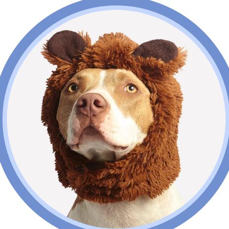 宜宾摩卡视觉婚纱摄影（客人版)