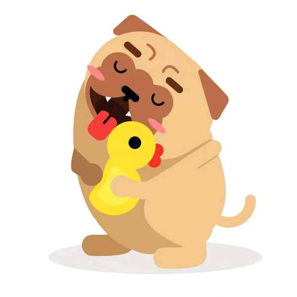 二狗有点狗🐶