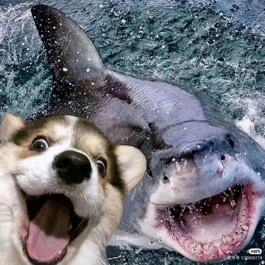 ✎ℳ๓̶ۣ四叶草