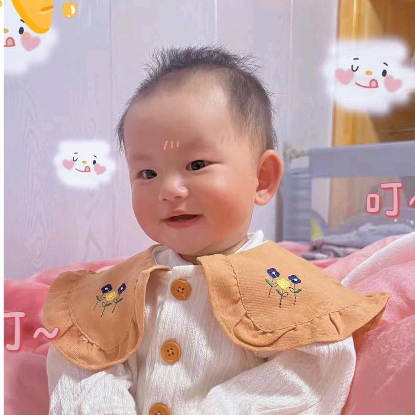 蝴蝶兰