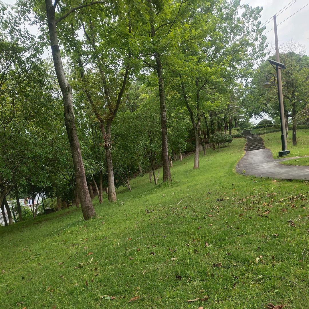 ☆可遇不可求♛