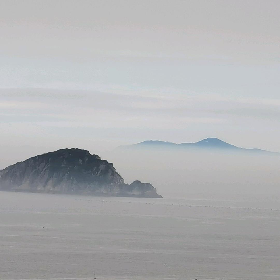 美梦优雅