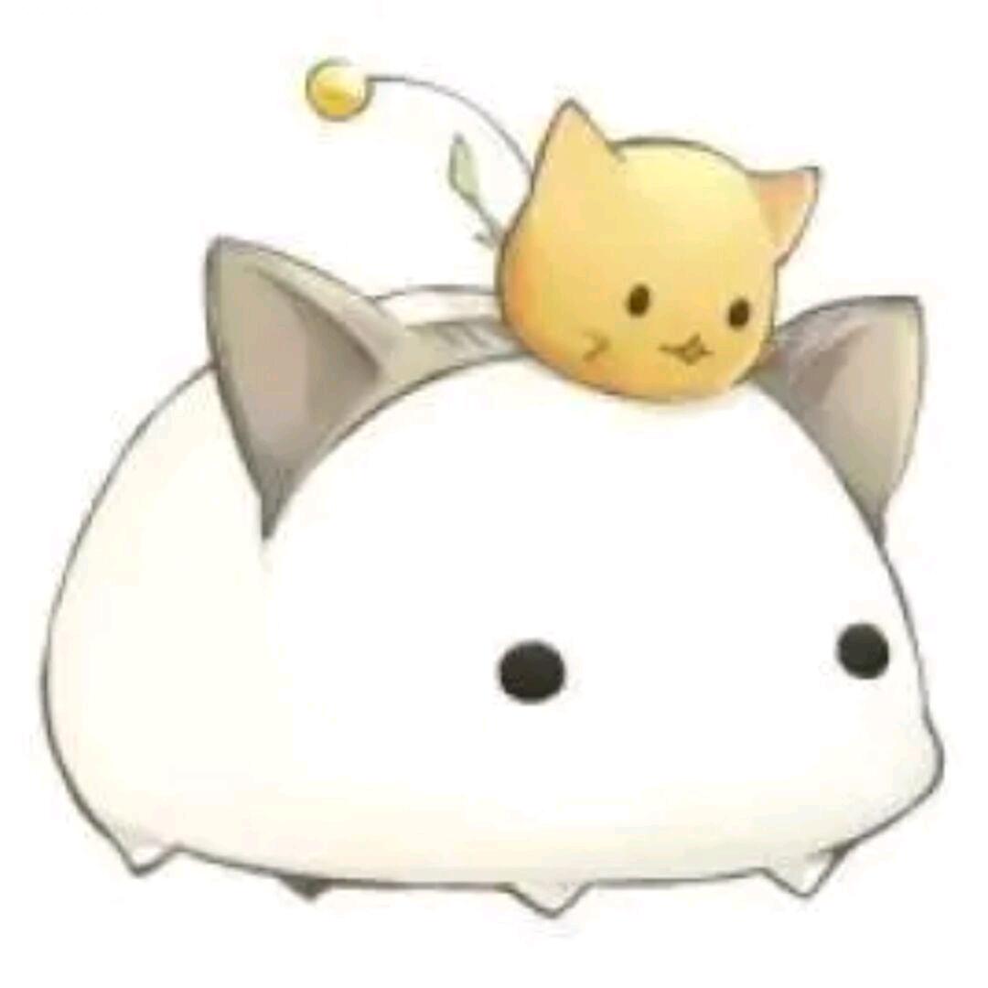 贪吃蛇呼呼