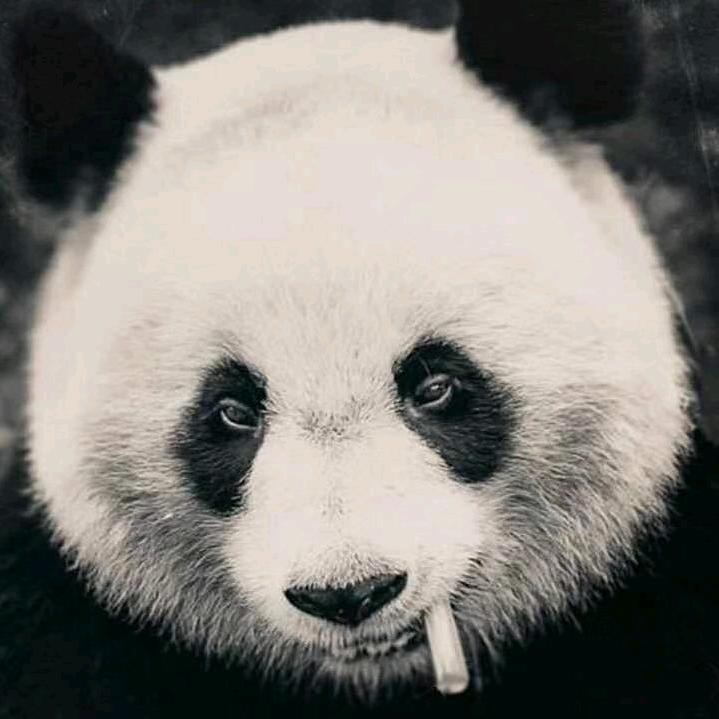 闲人李