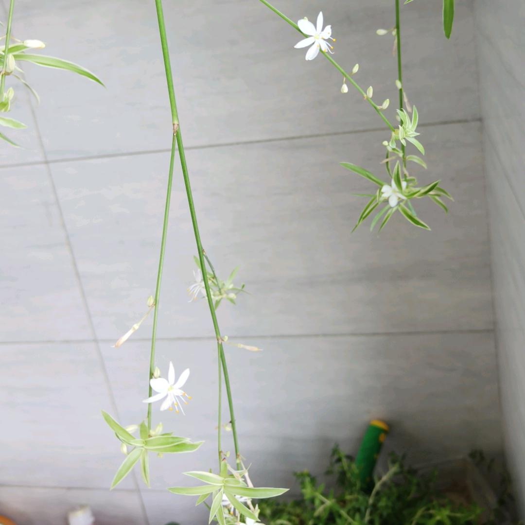 青春不打烊