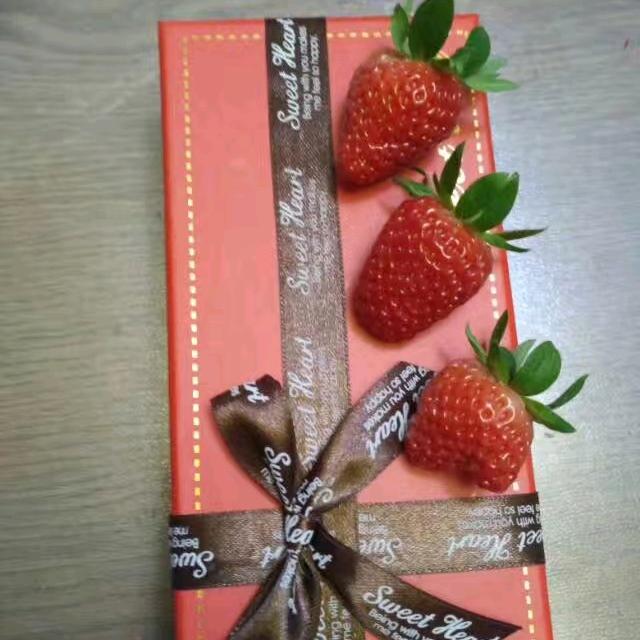 子颖静寒
