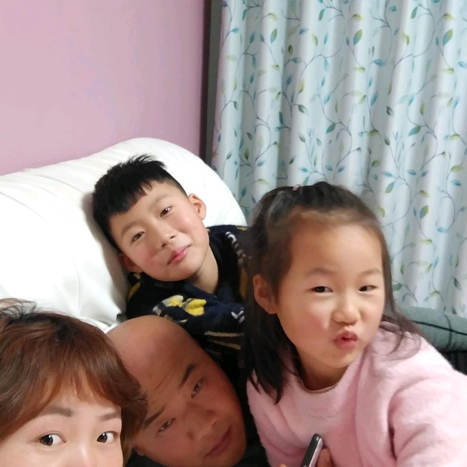 金星苗木，常年专供豆瓣黄杨，大叶黄杨