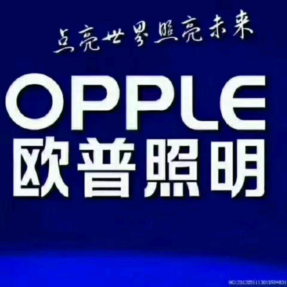 华荣欧普照明