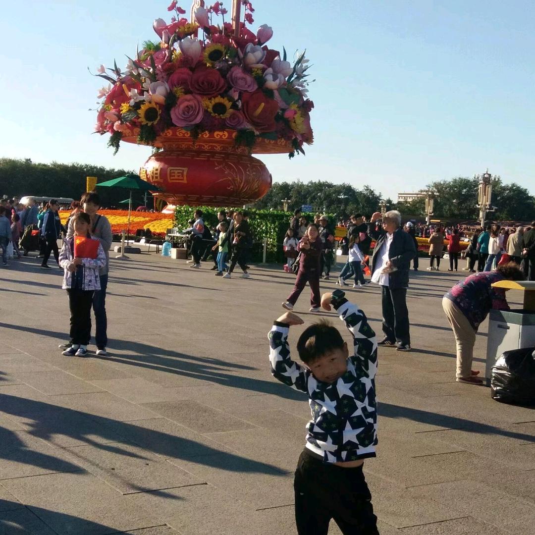 🌸桃之夭夭🌸